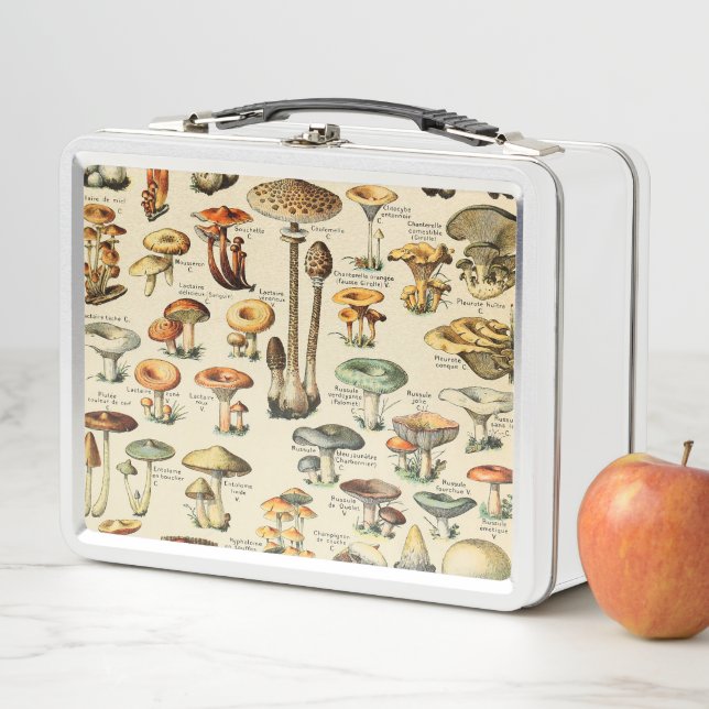 Mushroom Collection   Metal Lunch Box (In Situ)
