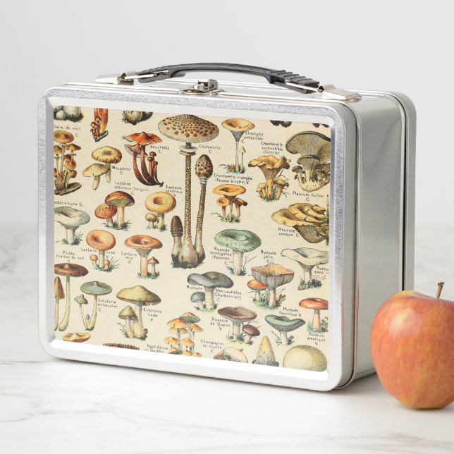 Mushroom Collection    Metal Lunch Box (In Situ)