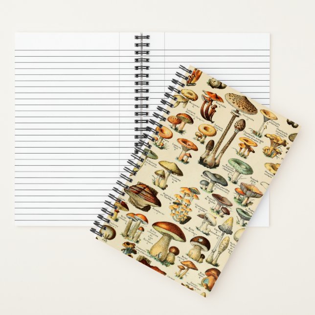 Mushroom Collection Notebook (Inside)