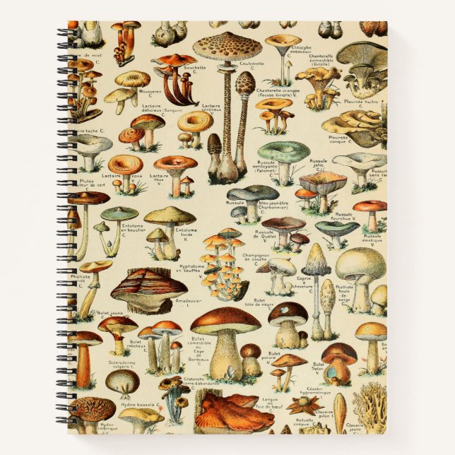 Mushroom Collection Notebook (Front)