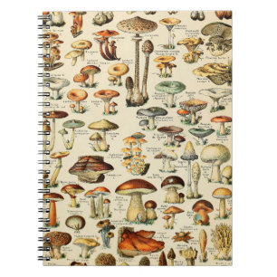 Mushroom Collection Notebook