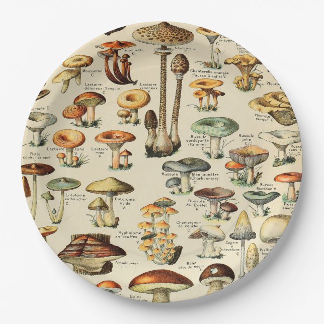 Mushroom Collection  Paper Plate (Front)