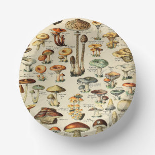 Mushroom Collection Paper Plate