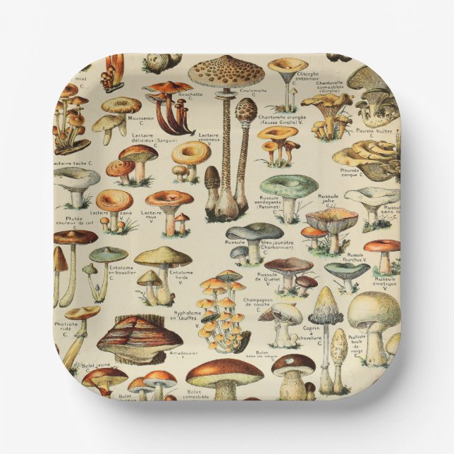 Mushroom Collection  Paper Plate (Front)