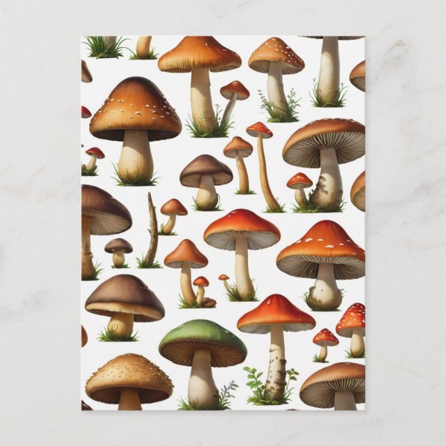 Mushroom Collection Pattern Design Postcard (Front)