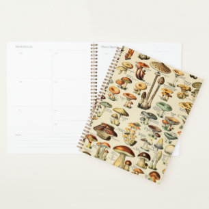 Mushroom Collection Planner