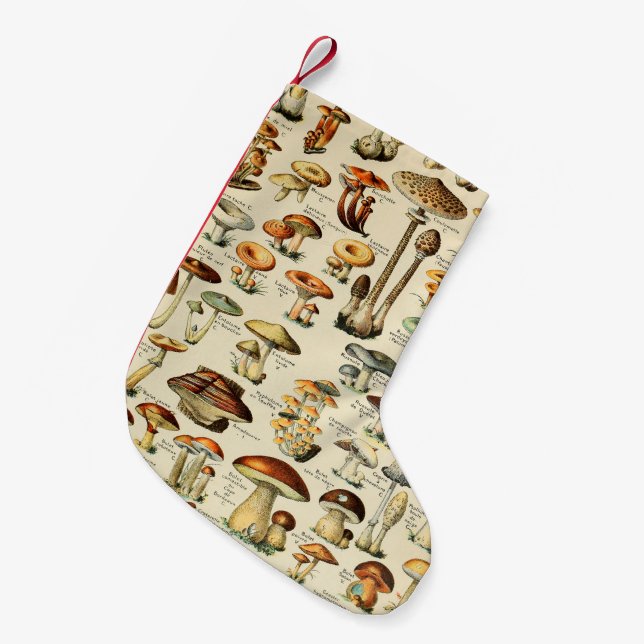 Mushroom Collection  Small Christmas Stocking (Front (Hanging))