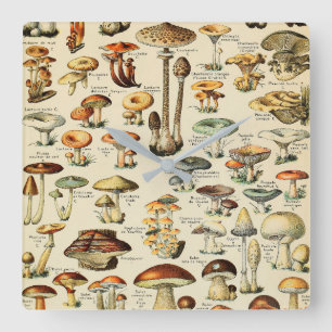 Mushroom Collection  Square Wall Clock