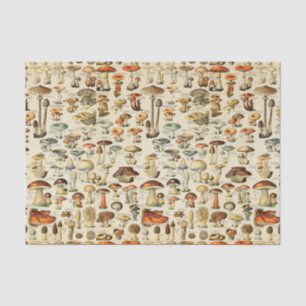 Mushroom Collection  Tissue Paper
