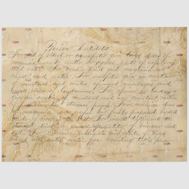 Mushroom Ephemera Design Series #3 Tissue Paper (Front)