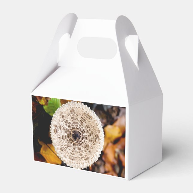 Mushroom Favor Box (Back Side)
