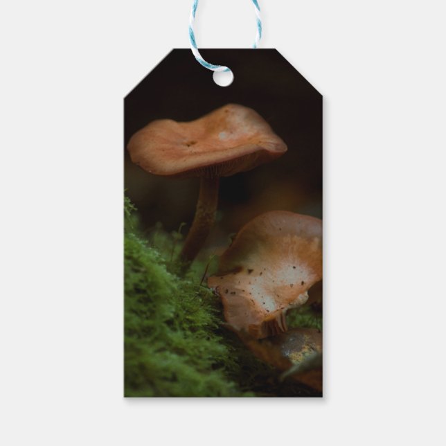 Mushroom gift tags (Front)