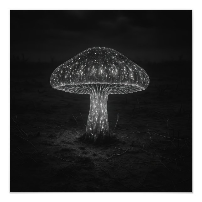 Mushroom Glow - Photo Print (Front)