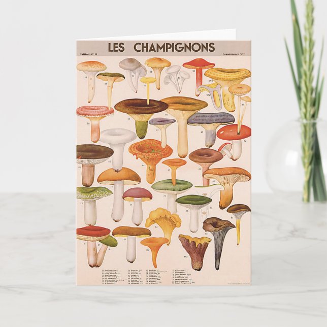 Mushroom Greeting Card (Front)