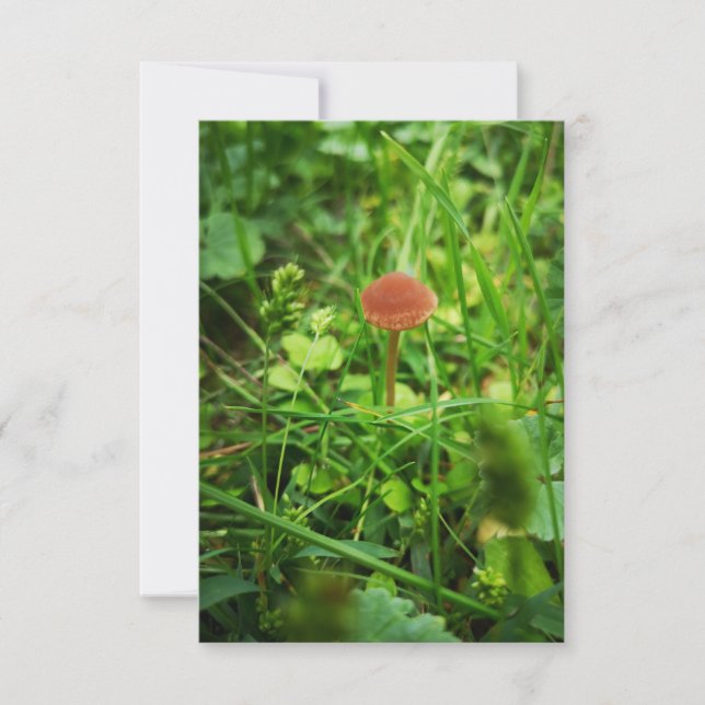 mushroom greeting card  (Front)