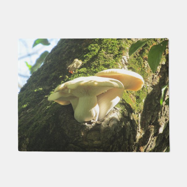 Mushroom Growing in Tree Doormat (Front)