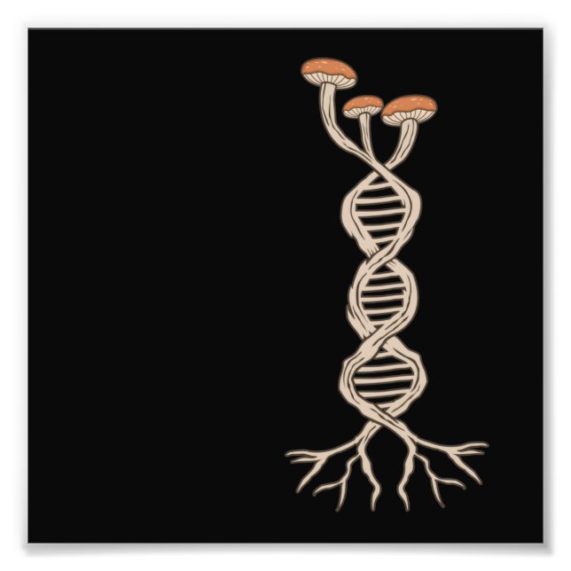 Mushroom Hunting DNA Morels Hunter Mycologist Grap Photo Print (Front)