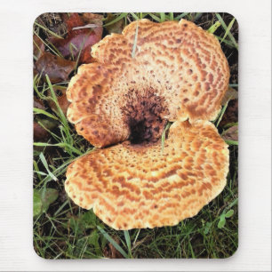 Mushroom in the Forest Mouse Pad