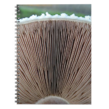 Mushroom Journal
