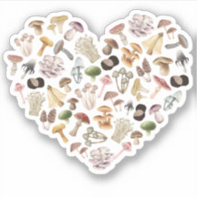 Mushroom Lover, I love Mushrooms