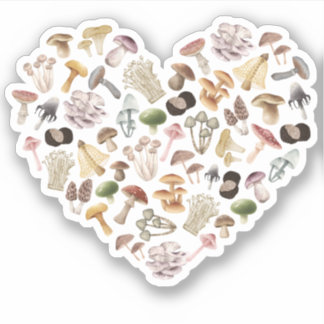 Mushroom Lover, I love Mushrooms