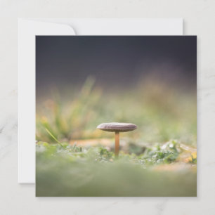 Mushroom Nature Photo Card