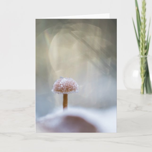 Mushroom Nature Photo Card (Front)