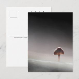 Mushroom Nature Photo Holiday Postcard