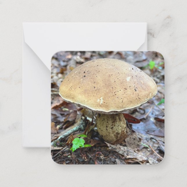 Mushroom Note Card (Front)
