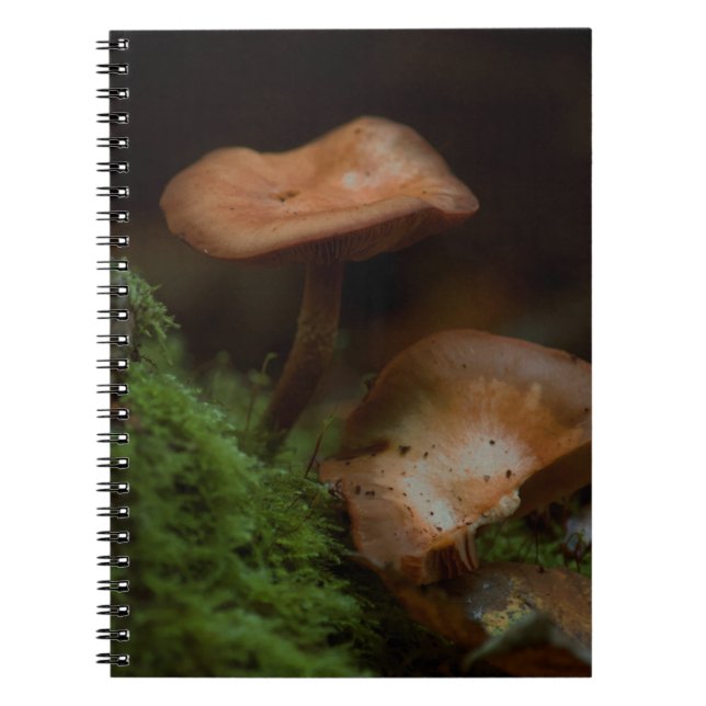 Mushroom notebook (Front)