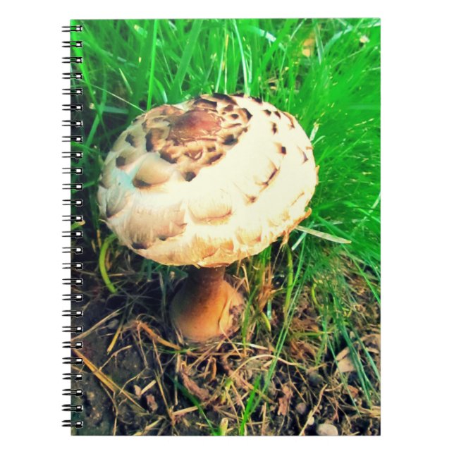Mushroom Notebook (Front)