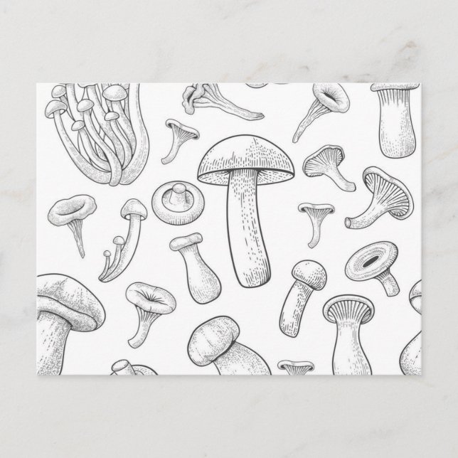 Mushroom pattern postcard (Front)