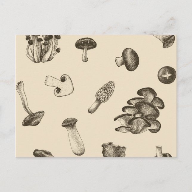 Mushroom pattern postcard (Front)