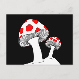 Mushroom Postcard