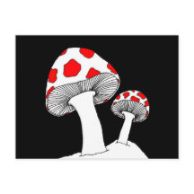 Mushroom Postcard