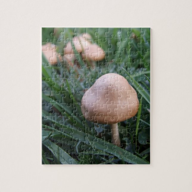 Mushroom Puzzle (Vertical)