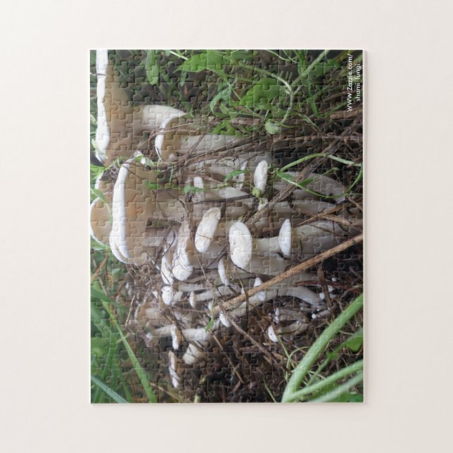 Mushroom Puzzle (Vertical)