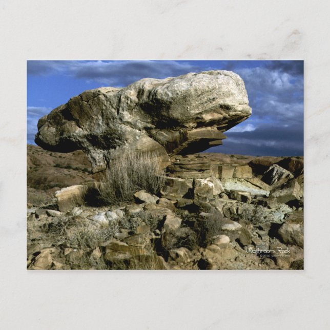 Mushroom Rock Colour Photo Postcard (Front)