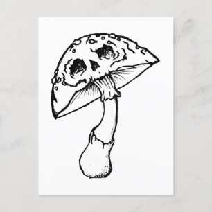 mushroom skull postcard