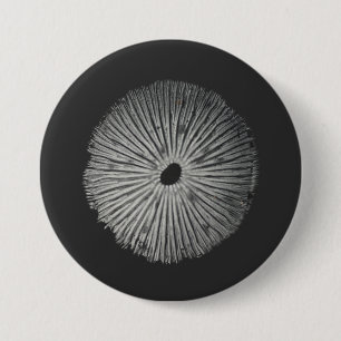 Mushroom spore 3 inch round button