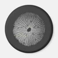 Mushroom spore magnet