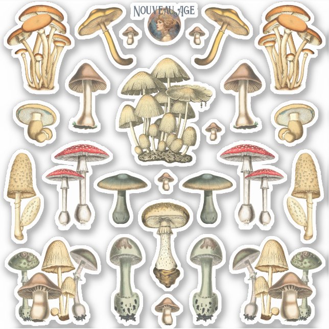 Mushroom Sticker Sheet (Front)