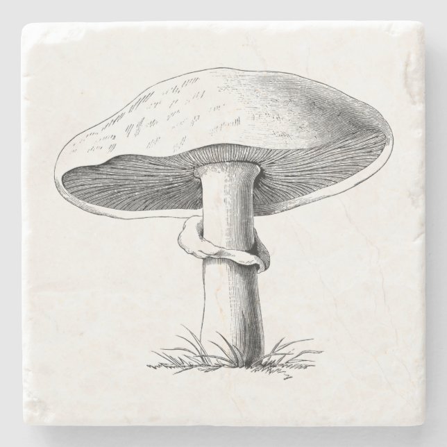 Mushroom Stone Coaster (Front)