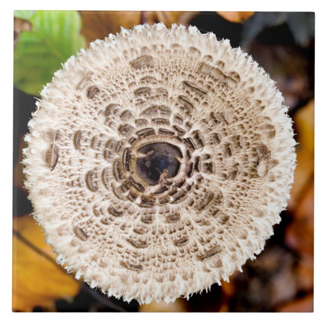 Mushroom Tile (Front)