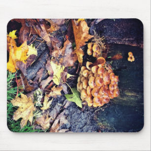 Mushroom Village Mouse Pad