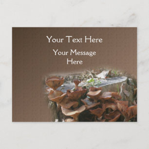 Mushroom Village Nature Postcard