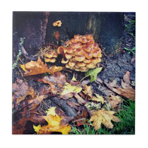 Mushroom Village Tile