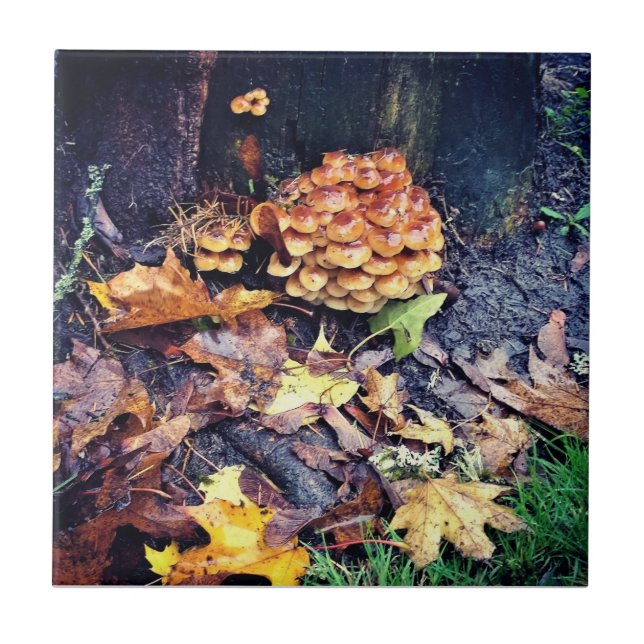 Mushroom Village Tile (Front)