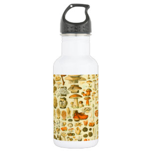 Mushroom Vintage Toadstool Antique Illustration 532 Ml Water Bottle