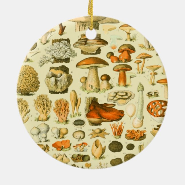 Mushroom Vintage Toadstool Antique Illustration Ceramic Ornament (Back)